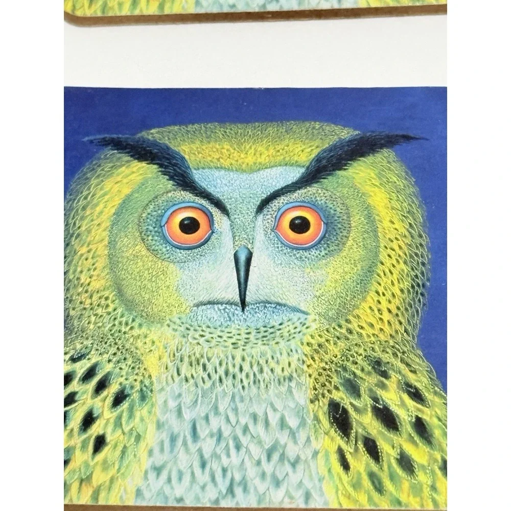 Tamas Galambos OWL‎ Set of 8 Cork-Backed Laminated Coasters NEW A10